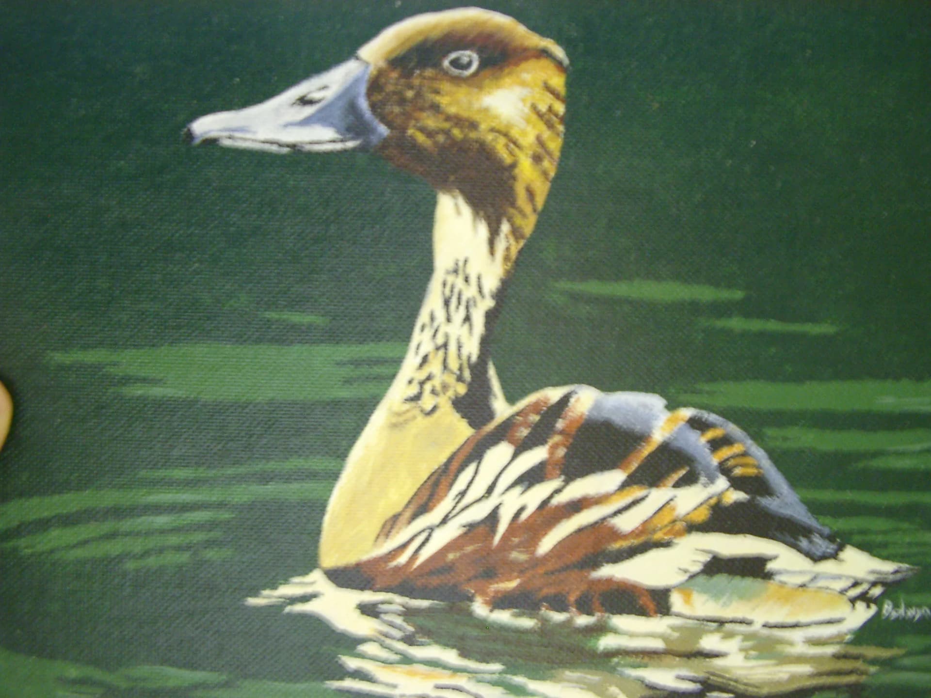 Duck
