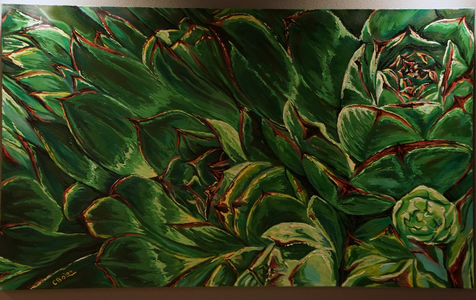 Succulent — [TBD TITLE]