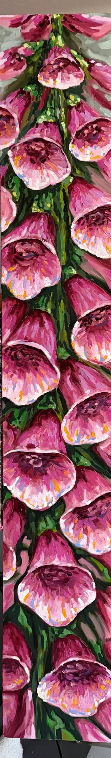 Foxglove (Pink) — [TBD TITLE]