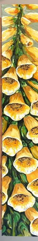 Foxglove (Yellow) — [TBD TITLE]