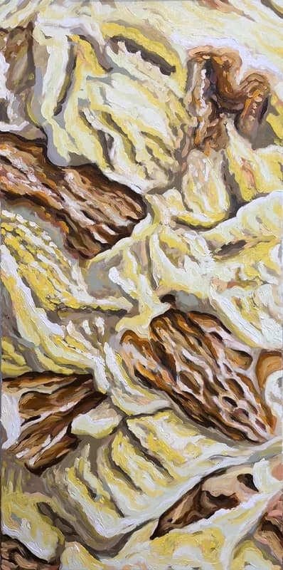 Yellow Strata — [TBD TITLE]