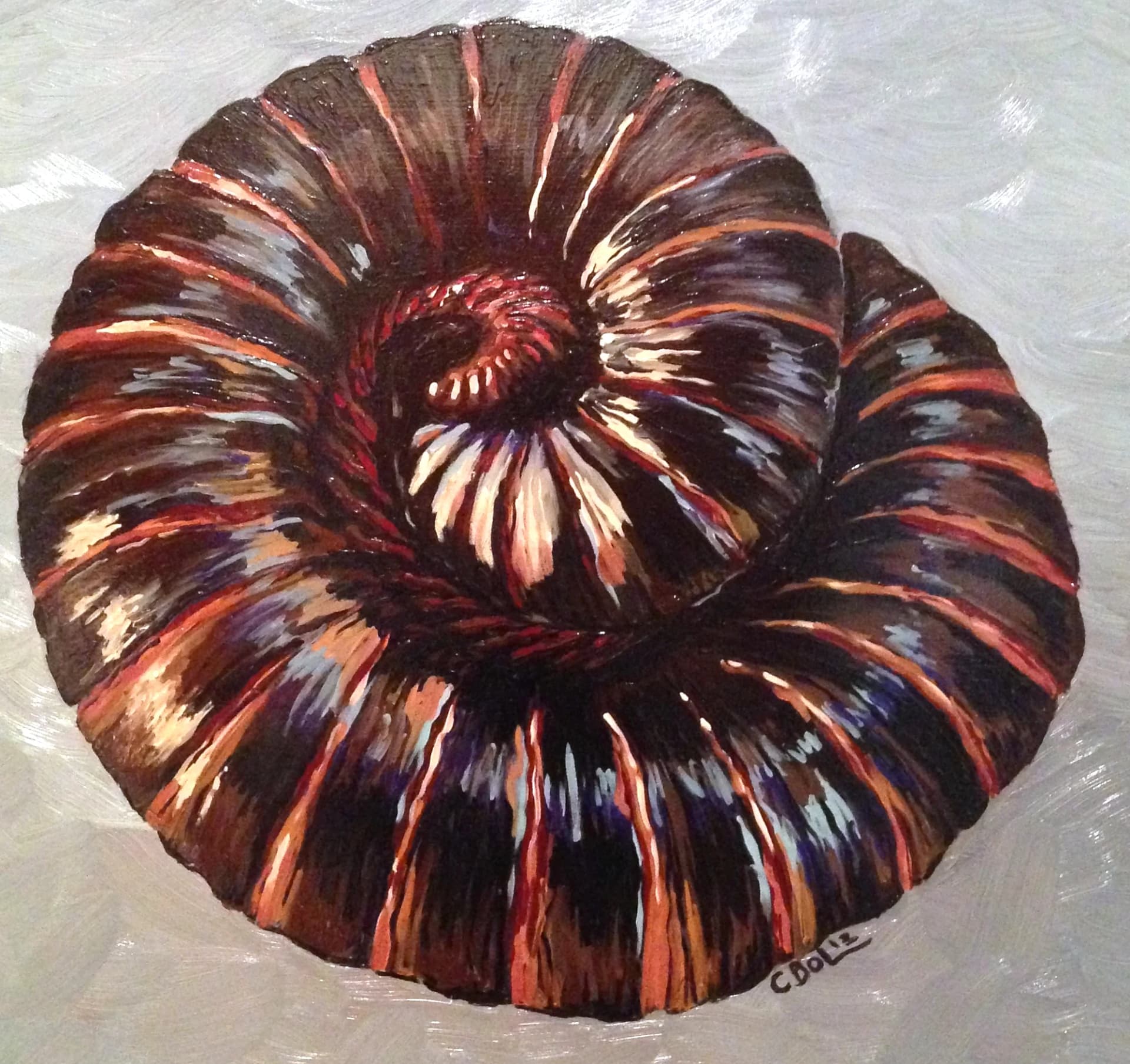 Ammonite — [TBD TITLE]