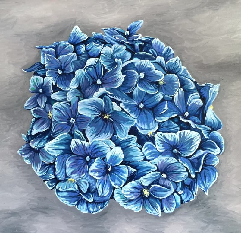 Blue Hydrangea — [TBD TITLE]