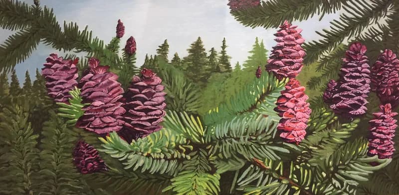 Pinecones — [TBD TITLE]