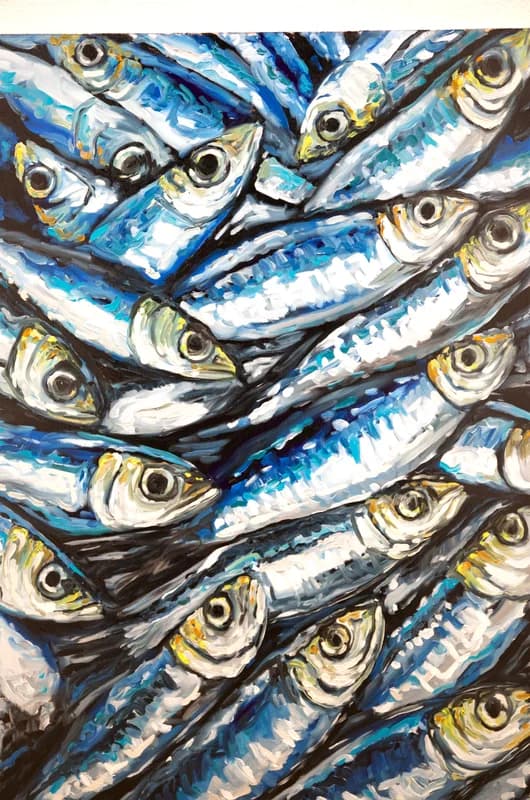 Sardines — [TBD TITLE]