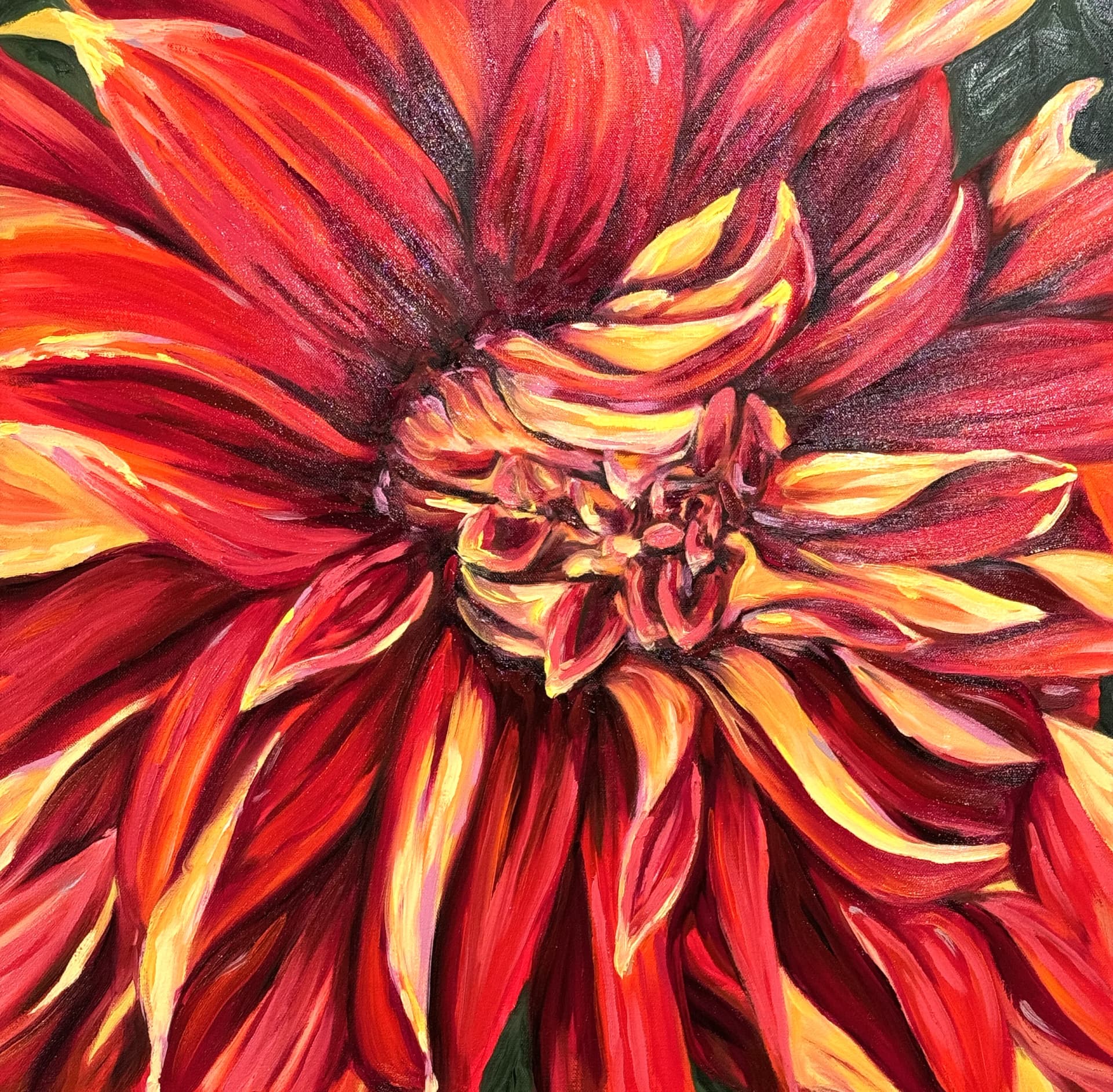 Red Dahlia